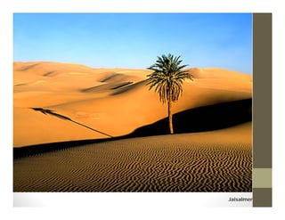 Jaisalmer
 