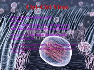 Hanya dapat bereplikasi pada
sel hidup
Dapat mengkristalkan diri, sehingga suatu
saat dapat hidup dan menyerang kembali
Kristal virus tidak dapat dibiakkan pada
media bernutrisi
Virus ketika berada dalam sel, akan mengontrol
dan mengendalikan aktivitas sel inang yang di
infeksinya
Ciri-Ciri Virus
 