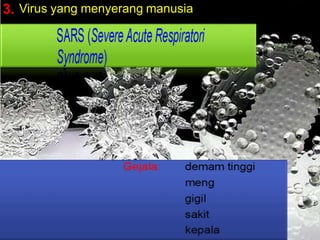 3. Virus yang menyerang manusia
 