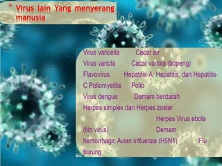 * Virus lain Yang menyerang
manusia
 