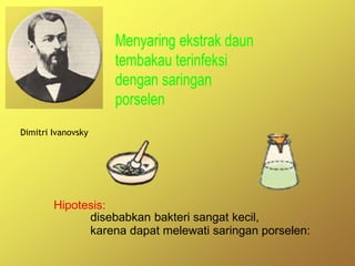 Menyaring ekstrak daun
tembakau terinfeksi
dengan saringan
porselen
Dimitri Ivanovsky
Hipotesis:
disebabkan bakteri sangat kecil,
karena dapat melewati saringan porselen:
 