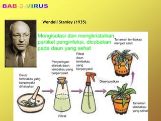 Penyaringan
ekstrak daun
tembakau yang
berpenyakit
Filtrat
daun
tembakau
yang
berpenyakit
Tanaman tembakau
menjadi sakit
Filtrat
Tanaman
tembakau
yang sehat
Disemprotkan
Wendell Stanley (1935)
Mengisolasi dan mengkristalkan
partikel penginfeksi, dicobakan
pada daun yang sehat
 