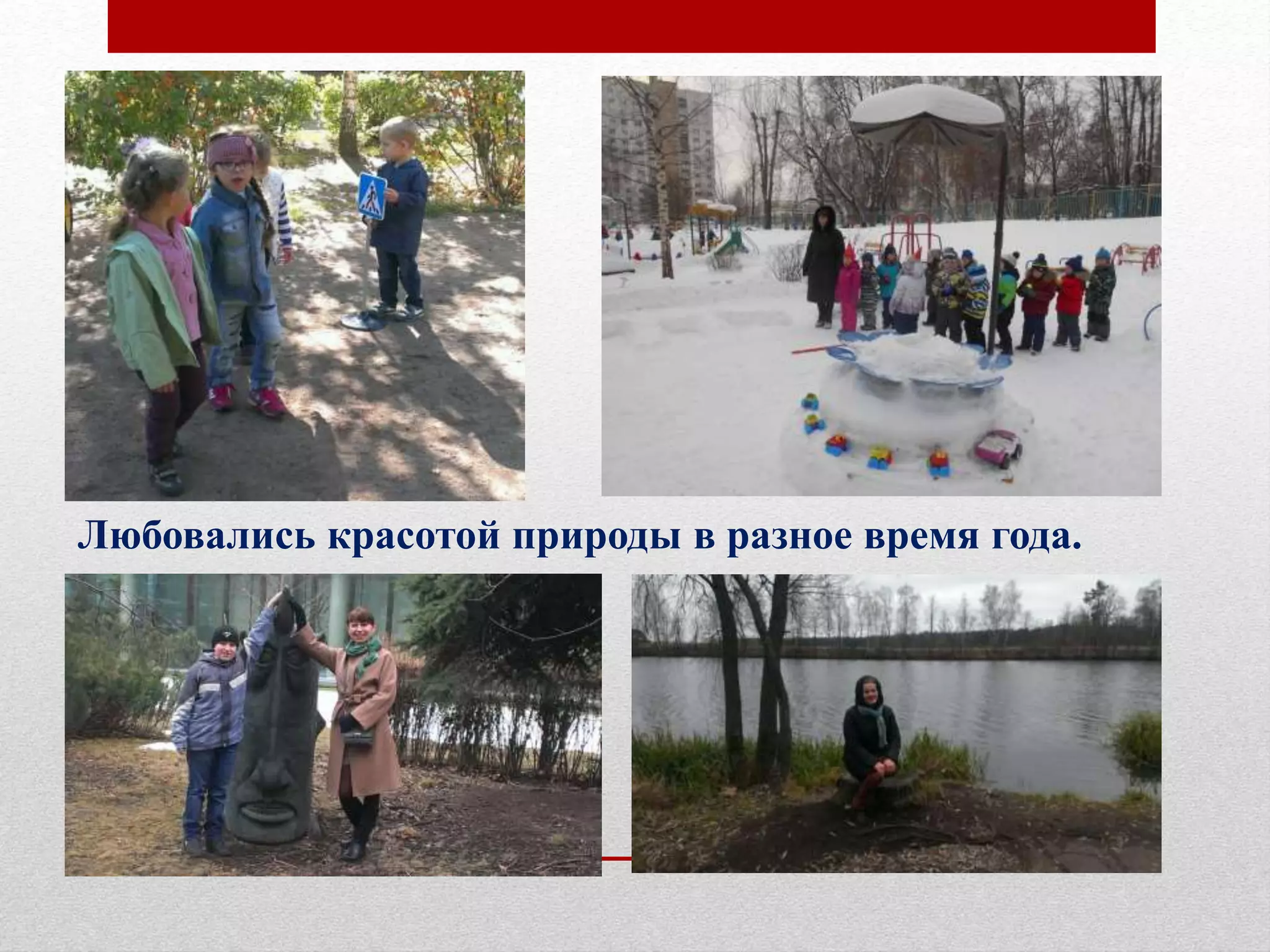 Любовались красотой природы в разное время года.
 