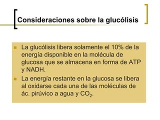 Consideraciones sobre la glucólisis
 La glucólisis libera solamente el 10% de la
energía disponible en la molécula de
glucosa que se almacena en forma de ATP
y NADH.
 La energía restante en la glucosa se libera
al oxidarse cada una de las moléculas de
ác. pirúvico a agua y CO2.
 