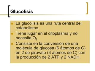 Glucolisis
 La glucólisis es una ruta central del
catabolismo.
 Tiene lugar en el citoplasma y no
necesita O2
 Consiste en la conversión de una
molécula de glucosa (6 átomos de C)
en 2 de piruvato (3 átomos de C) con
la producción de 2 ATP y 2 NADH.
 