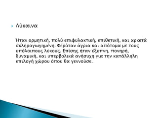  Λύκαινα
Ήταν ορμητική, πολύ επιφυλακτική, επιθετική, και αρκετά
σκληραγωγημένη. Φερόταν άγρια και απότομα με τους
υπόλοιπους λύκους. Επίσης ήταν έξυπνη, πονηρή,
δυναμική, και υπερβολικά ανήσυχη για την κατάλληλη
επιλογή χώρου όπου θα γεννούσε.
 