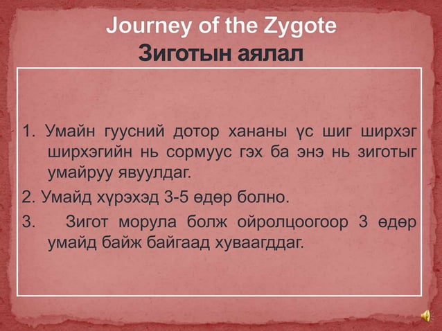 2. Овуляци, үр тогтолт ба үр хөврөл | PPT