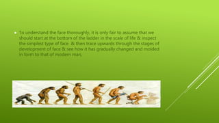 Evolution & Development of Face | PPTX