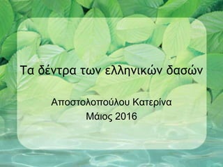 Τα δέντρα των ελληνικών δασών
Αποστολοπούλου Κατερίνα
Μάιος 2016
 