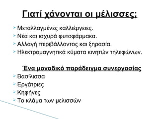  Μεταλλαγμένες καλλιέργειες.
 Νέα και ισχυρά φυτοφάρμακα.
 Αλλαγή περιβάλλοντος και ξηρασία.
 Ηλεκτρομαγνητικά κύματα κινητών τηλεφώνων.
Ένα μοναδικό παράδειγμα συνεργασίας
 Βασίλισσα
 Εργάτριες
 Κηφήνες
 Το κλάμα των μελισσών
Γιατί χάνονται οι μέλισσες;
 