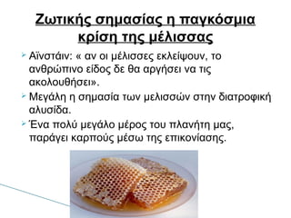  Αϊνστάιν: « αν οι μέλισσες εκλείψουν, το
ανθρώπινο είδος δε θα αργήσει να τις
ακολουθήσει».
 Μεγάλη η σημασία των μελισσών στην διατροφική
αλυσίδα.
 Ένα πολύ μεγάλο μέρος του πλανήτη μας,
παράγει καρπούς μέσω της επικονίασης.
Ζωτικής σημασίας η παγκόσμια
κρίση της μέλισσας
 