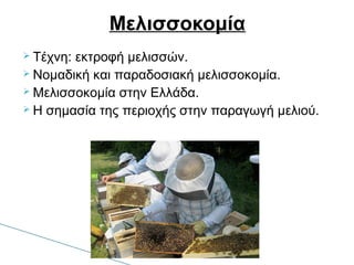  Τέχνη: εκτροφή μελισσών.
 Νομαδική και παραδοσιακή μελισσοκομία.
 Μελισσοκομία στην Ελλάδα.
 Η σημασία της περιοχής στην παραγωγή μελιού.
Μελισσοκομία
 