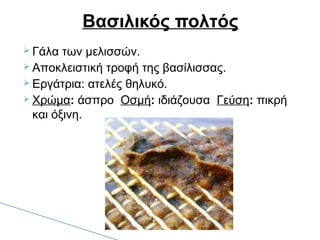  Γάλα των μελισσών.
 Αποκλειστική τροφή της βασίλισσας.
 Εργάτρια: ατελές θηλυκό.
 Χρώμα: άσπρο Οσμή: ιδιάζουσα Γεύση: πικρή
και όξινη.
Βασιλικός πολτός
 