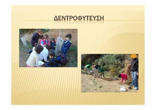 ΔΕΝΤΡΟΦΥΤΕΥΣΗ
 