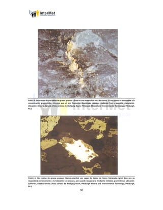 30
PLACA 3: Ocurrencia de oro nativo de granos gruesos y finos en una material de veta de cuarzo. El oro grueso es susceptible a la
concentración gravimétrica mientras que el oro finamente diseminado requiere molienda fina y posterior cianuración.
Ubicación: Ontario, Canadá. (Foto cortesía de Wolfgang Baum, Pittsburgh Mineral and Environmental Technology, Pittsburgh,
PA.)
PLACA 4: Oro nativo de granos gruesos (blanco-amarillo) con capas de óxidos de hierro hidratados (gris). Este oro no
responderá correctamente a la lixiviación con cianuro, pero puede recuperarse mediante métodos gravimétricos Ubicación:
California, Estados Unidos. (Foto cortesía de Wolfgang Baum, Pittsburgh Mineral and Environmental Technology, Pittsburgh,
PA.)
 