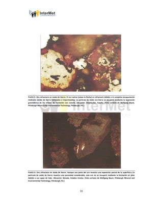 31
PLACA 5: Oro refractario en óxido de hierro. El oro nativo (véase la flecha) es refractario debido a la completa encapsulación
mediante óxidos de hierro hidratados e impermeables. La partícula de óxido oro-hierro se recuperó mediante la separación
gravimétrica de los relaves de lixiviación con cianuro. Ubicación: Rodalquilar, España. (Foto cortesía de Wolfgang Baum,
Pittsburgh Mineral and Environmental Technology, Pittsburgh, PA.)
PLACA 6: Oro refractario en óxido de hierro. Aunque una parte del oro muestra una exposición parcial de la superficie y la
particula de oxido de hierro muestra una porosidad considerable, este oro no se recuperó mediante la lixiviación en pilas
debido a sus capas de lodo. Ubicación: Nevada, Estados Unidos. (Foto cortesía de Wolfgang Baum, Pittsburgh Mineral and
Environmental Technology, Pittsburgh, PA.)
 