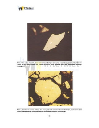 32
PLACA 7: Oro sulfuro refractario. El oro nativo (véase la flecha) se encapsula en una partícula grande de pirita. Ubicación:
Carolina del Sur, Estados Unidos. (Foto cortesía de Wolfgang Baum, Pittsburgh Mineral and Environmental Technology,
Pittsburgh, PA.)
PLACA 8: Oro nativo fino (véase la flecha) se ubica en una partícula de marcasita . Ubicación: Washington, Estados Unidos. (Foto
cortesía de Wolfgang Baum, Pittsburgh Mineral and Environmental Technology, Pittsburgh, PA.)
 