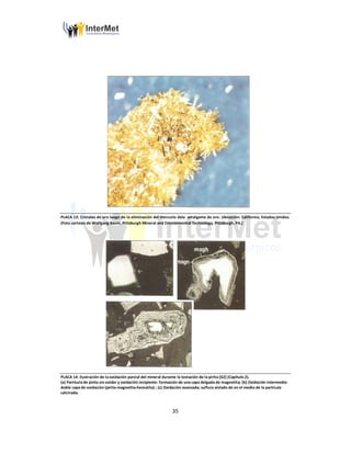35
PLACA 13: Cristales de oro luego de la eliminación del mercurio dela amalgama de oro. Ubicación: California, Estados Unidos.
(Foto cortesía de Wolfgang Baum, Pittsburgh Mineral and Environmental Technology, Pittsburgh, PA.)
PLACA 14: Ilustración de la oxidación parcial del mineral durante la tostación de la pirita [62] (Capítulo 2).
(a) Partícula de pirita sin oxidar y oxidación incipiente: formación de una capa delgada de magnetita; (b) Oxidación intermedia:
doble capa de oxidación (pirita-magnetita-hematita) ; (c) Oxidación avanzada; sulfuro aislado de en el medio de la partícula
calcinada.
 