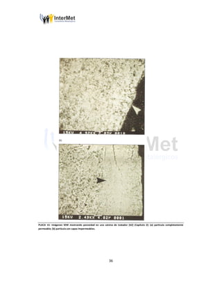 36
PLACA 15: Imágenes SEM mostrando porosidad en una calcina de tostador [62] (Capítulo 2): (a) partícula completamente
permeable; (b) partícula con capas impermeables.
 