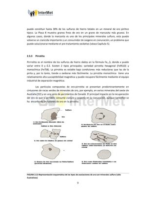 9
puede constituir hasta 30% de los sulfuros de hierro totales en un mineral de oro pirítico
típico. La Placa 8 muestra granos finos de oro en un grano de marcasita más grueso. En
algunos casos, donde la marcasita es uno de los principales minerales sulfuro, esta puede
volverse un cianicida importante y un consumidor de oxigeno en cianuración; un problema que
puede solucionarse mediante el pre-tratamiento oxidativo (véase Capítulo 5).
2.3.3 Pirrotita
Pirrrotita es el nombre de los sulfuros de hierro dados en la fórmula Fe1-xS, donde x puede
variar entre 0 y 0.2. Existen 2 tipos principales: variedad pirrotita hexagonal (Fe9S10) y
monoclínica (Fe7S8). La pirrotita es estable bajo condiciones más reductoras que las de la
pirita y, por lo tanto, tiende a oxidarse más fácilmente. La pirrotita monoclínica tiene una
relativamente alta susceptibilidad magnética y puede recupere fácilmente mediante el equipo
industrial de separación magnética.
Las partículas compuestas de oro-pirrotita se presentan predominantemente en
cinturones de rocas verdes de minerales de oro, por ejemplo, en varios minerales del oeste de
Australia [32] y en una serie de yacimientos de Canadá. El principal impacto en la recuperación
del oro es que la pirrotita consume cianuro y oxigeno en la cianuración, aunque tambiñen se
ha encontrado inclusiones de oro en la pirrotita.
FIGURA 2.13 Representación esquemática de los tipos de asociaciones de oro con minerales sulfuro (sólo
ilustrativos)
 