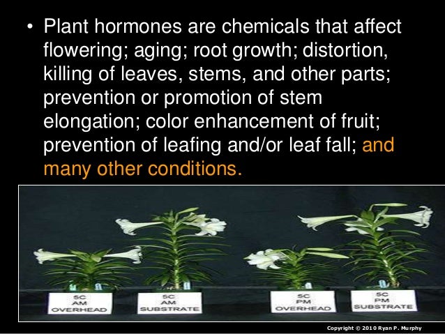 coordination and response in plants 16w3gmz Plant responses tropism is a biological phenomenon, indicating growth or turning movement of a biological organism, usually a plant, in response. coordination and response in plants 16w3gmz Plant responses tropism is a biological phenomenon, indicating growth or turning movement of a biological organism, usually a plant, in response.