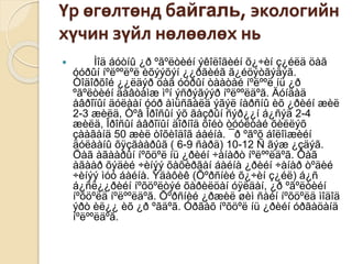 Үр өгөлтөнд байгаль, экологийн
хүчин зүйл нөлөөлөх нь
 Ìîä áóòíû ¿ð ºãºëòèéí ýêîëîãèéí õ¿÷èí ç¿éëä öàã
óóðûí íºëººëºë èõýýõýí ¿¿ðãèéã ã¿éöýòãýäýã.
Òîäîðõîé ¿¿ëäýð öàã óóðûí òààòàé íºëººë íü ¿ð
ºãºëòèéí äàâòàìæ ìºí ýñðýãýýð íºëººëäºã. Äóíäàä
åâðîïûí äóëààí óóð àìüñãàëä ýãýë íàðñíû èõ ¿ðèéí æèë
2-3 æèëä, Òºâ Îðîñûí ýõ ãàçðûí ñýð¿¿í á¿ñýä 2-4
æèëä, Îðîñûí åâðîïûí äîðíîä õîéò òóóëòàé õèëëýõ
çààãàíä 50 æèë òîõèîäîã áàéíà. ¯ð ºãºõ áîëîìæèéí
äóëààíû õÿçãààðûã ( 6-9 ñàðä) 10-12 Ñ ãýæ ¿çäýã.
Öàã àãààðûí íºõöºë íü ¿ðèéí ÷àíàðò íºëººëäºã. Öàã
àãààð õýäèé ÷èíýý õàõèðãàí áàéíà ¿ðèéí ÷àíàð òºäèé
÷èíýý ìóó áàéíà. Ýäàôèê (Õºðñíèé õ¿÷èí ç¿éë) á¿ñ
á¿ñë¿¿ðèéí íºõöºëòýé õàðèëöàí óÿëäàí, ¿ð ºãºëòèéí
íºõöºëä íºëººëäºã. Õºðñíèé ¿ðæèë øèì ñàéí íºõöºëä ìîäîä
ýðò èë¿¿ èõ ¿ð ºãäºã. Óðãàõ íºõöºë íü ¿ðèéí óðãàöàíä
íºëººëäºã.
 