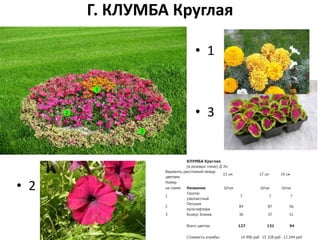 Г. КЛУМБА Круглая
КЛУМБА Круглая
(в розовых тонах) Д 2м
Варианты расстояний между
цветами
15 см 17 см 19 см
Номер
на схеме Название Штук Штук Штук
1
Тагетес
узколистный
7 7 7
2
Петуния
мультифлора
84 87 56
3 Колеус Блюма 36 37 31
Всего цветов: 127 131 94
Стоимость клумбы: 14 996 руб 15 328 руб 12 244 руб
• 1
• 3
• 2
 