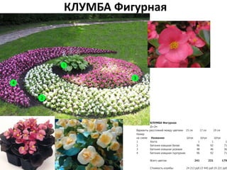 КЛУМБА Фигурная
КЛУМБА Фигурная
Д=2м
Варианты расстояний между цветами 15 см 17 см 19 см
Номер
на схеме Название Штук Штук Штук
1 Хоста 1 1 1
2 Бегония изящная белая 96 92 71
3 Бегония изящная розовая 48 46 36
4 Бегония изящная пурпурная 96 92 71
Всего цветов: 241 231 179
Стоимость клумбы: 24 213 руб 23 445 руб 19 221 руб
 