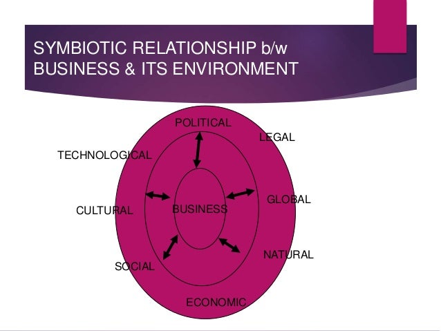 2 The Relevance Of Entrepreneurship In Pharmaceutical