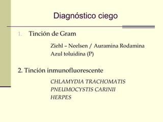 Diagnóstico ciego
1. Tinción de Gram
Ziehl – Neelsen / Auramina Rodamina
Azul toluidina (P)
2. Tinción inmunofluorescente
CHLAMYDIA TRACHOMATIS
PNEUMOCYSTIS CARINII
HERPES
 