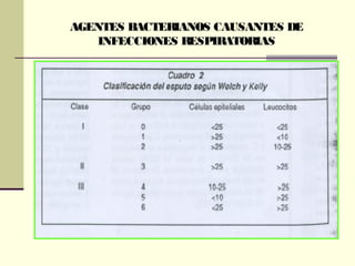 AGENTES BACTERIANOS CAUSANTES DE
INFECCIONES RESPIRATORIAS
 