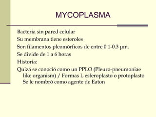 MYCOPLASMA
Bacteria sin pared celular
Su membrana tiene esteroles
Son filamentos pleomórficos de entre 0.1-0.3 μm.
Se divide de 1 a 6 horas
Historia:
Quizá se conoció como un PPLO (Pleuro-pneumoniae
like organism) / Formas L esferoplasto o protoplasto
Se le nombró como agente de Eaton
 