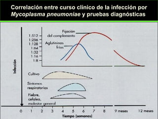 Correlación entre curso clínico de la infección por
Mycoplasma pneumoniae y pruebas diagnósticas
 