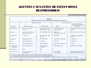 AGENTES CAUSANTES DE INFECCIONES
RESPIRATORIAS
 