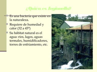 ¿Quién es Legionella?
 Es una bacteria que existe en
la naturaleza.
 Requiere de humedad y
calor (32 a 45°)
 Su hábitat natural es el
agua: ríos, lagos, aguas
termales, humidificadores,
torres de enfriamiento, etc.
 