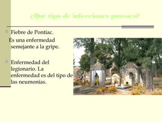 ¿Qué tipo de infecciones provoca?
 Fiebre de Pontiac.
Es una enfermedad
semejante a la gripe.
 Enfermedad del
legionario. La
enfermedad es del tipo de
las neumonías.
 