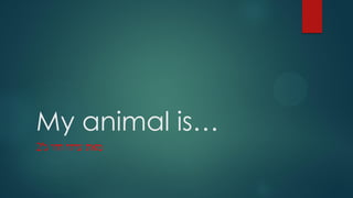 My animal is…
‫ג‬ ‫חיו‬ ‫עידו‬ ‫מאת‬'2
 