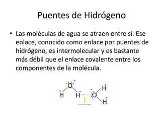 • Las moléculas de agua se atraen entre sí. Ese
enlace, conocido como enlace por puentes de
hidrógeno, es intermolecular y es bastante
más débil que el enlace covalente entre los
componentes de la molécula.
Puentes de Hidrógeno
 