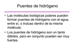• Las moléculas biológicas polares pueden
formar puentes de hidrógeno con el agua,
entre sí, o incluso dentro de la misma
molécula.
• Los puentes de hidrógeno son un tanto
débiles, pero en conjunto pueden ser muy
fuertes.
Puentes de hidrógeno
 