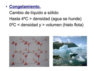 • Congelamiento.
Cambio de líquido a sólido
Hasta 4ºC > densidad (agua se hunde)
0ºC < densidad y > volumen (hielo flota)
 