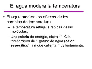 • El agua modera los efectos de los
cambios de temperatura.
– La temperatura refleja la rapidez de las
moléculas.
– Una caloría de energía, eleva 1°C la
temperatura de 1 gramo de agua (calor
específico); así que calienta muy lentamente.
El agua modera la temperatura
 
