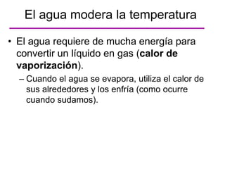 • El agua requiere de mucha energía para
convertir un líquido en gas (calor de
vaporización).
– Cuando el agua se evapora, utiliza el calor de
sus alrededores y los enfría (como ocurre
cuando sudamos).
El agua modera la temperatura
 
