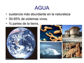 AGUA
• sustancia más abundante en la naturaleza
• 50-95% de sistemas vivos.
• ¾ partes de la tierra.
 
