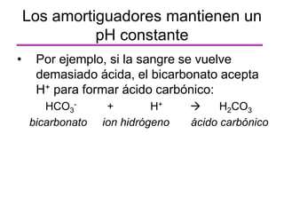 • Por ejemplo, si la sangre se vuelve
demasiado ácida, el bicarbonato acepta
H+ para formar ácido carbónico:
HCO3
- + H+  H2CO3
bicarbonato ion hidrógeno ácido carbónico
Los amortiguadores mantienen un
pH constante
 