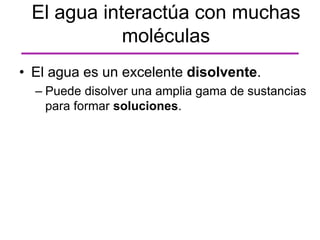 El agua interactúa con muchas
moléculas
• El agua es un excelente disolvente.
– Puede disolver una amplia gama de sustancias
para formar soluciones.
 