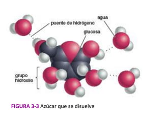 FIGURA 3-3 Azúcar que se disuelve
 