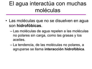 • Las moléculas que no se disuelven en agua
son hidrofóbicas.
– Las moléculas de agua repelen a las moléculas
no polares sin carga, como las grasas y los
aceites.
– La tendencia, de las moléculas no polares, a
agruparse se llama interacción hidrofóbica.
El agua interactúa con muchas
moléculas
 