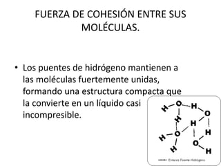 • Los puentes de hidrógeno mantienen a
las moléculas fuertemente unidas,
formando una estructura compacta que
la convierte en un líquido casi
incompresible.
FUERZA DE COHESIÓN ENTRE SUS
MOLÉCULAS.
 