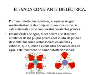 • Por tener moléculas dipolares, el agua es un gran
medio disolvente de compuestos iónicos, como las
sales minerales, y de compuestos covalentes polares.
• Las moléculas de agua, al ser polares, se disponen
alrededor de los grupos polares del soluto, llegando a
desdoblar los compuestos iónicos en aniones y
cationes, que quedan así rodeados por moléculas de
agua. Este fenómeno se llama solvatación iónica.
ELEVADA CONSTANTE DIELÉCTRICA.
 