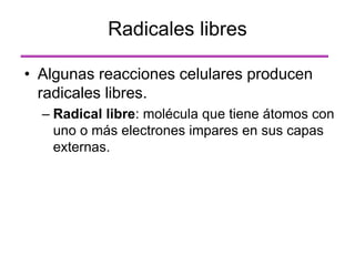 Radicales libres
• Algunas reacciones celulares producen
radicales libres.
– Radical libre: molécula que tiene átomos con
uno o más electrones impares en sus capas
externas.
 
